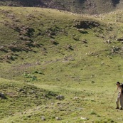 BergËre avec sa canne et son sac ‡ dos, en montagne dans les Alpes, avec son troupeau de brebis. Plan large, la bergËre regarde l'appareil photo. Pas de chien de berger visible.