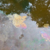 Au sein du parc Amboro, du pétrole  affleure directement en surface. Il est utilisé par les populations locales, qui n'ont pas l'électricité, pour s'eclairer a l'aide de lampes à pétrole improvisees. Ils font donc plusieurs heures de marche pour aler collecter directement ce pétrole arrivant en surface, et polluant naturellement la rivière... Pollution naturelle. Iridescence en surface. Bolivie.