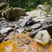 Au sein du parc Amboro, du pétrole  affleure directement en surface. Il est utilisé par les populations locales, qui n'ont pas l'électricité, pour s'eclairer a l'aide de lampes à pétrole improvisees. Ils font donc plusieurs heures de marche pour aler collecter directement ce pétrole arrivant en surface, et polluant naturellement la rivière... Bolivie.