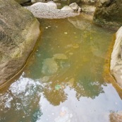 Au sein du parc Amboro, du pétrole  affleure directement en surface. Il est utilisé par les populations locales, qui n'ont pas l'électricité, pour s'eclairer a l'aide de lampes à pétrole improvisees. Ils font donc plusieurs heures de marche pour aler collecter directement ce pétrole arrivant en surface, et polluant naturellement la rivière... Pollution naturelle. Iridescence en surface. Bolivie.