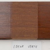 Tabebuia serratifolia