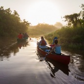 Marais de kaw en Guyane au lever du soleil. En canoe et kayak. Tourisme. Touristes.