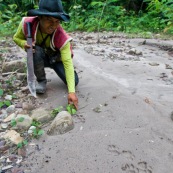 Sur les traces du Puma