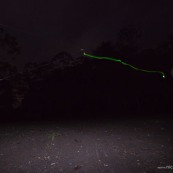 Yasuni : experimentation sur les chauve-souris