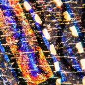 Billet de 5 euros observé au microscope.