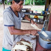 Decoupe du manioc (cramagnoc) dans un carbet en foret. Perou. Dans la cuisine.