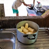 Decoupe du manioc (cramagnoc) dans un carbet en foret. Perou. Dans la cuisine. Le manioc est en train d'etre cuit.