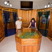 Centre d'interpretation du parc national Yanachaga Chemillen. Touriste avec garde-parc autour de la maquette du parc. Perou.
