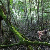 Jeune femme nue dans la foret tropicale amazonienne. Guyane. Nu artistique. Mangrove. Remire Montjoly sentier des salines.