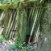 Guyane. Bagne (prison). Bagne des annamites. Le camp Crique Anguille, plus communément appelé bagne des Annamites, est un bagne français situé sur la commune de Montsinéry-Tonnegrande en Guyane. Vue sur les cellules. Tourisme historique et culturel. Graphisme.