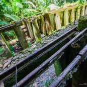 Guyane. Bagne (prison). Bagne des annamites. Le camp Crique Anguille, plus communément appelé bagne des Annamites, est un bagne français situé sur la commune de Montsinéry-Tonnegrande en Guyane. Vue sur les cellules. Tourisme historique et culturel. Graphisme.