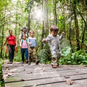Sentier du bagne des Annamites. Montsinery Tonnegrande. Guyane en foret tropicale amazonienne. randonnee en famille. Avec enfants et bebes.