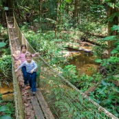Randonnee a Saul en foret tropicale amazonienne. Riviere. Crique. Sentier Roche bateau. En famille. Avec des enfants et bebe. Pont suspendu.  Parc amazonien de Guyane.