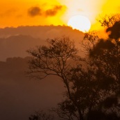 Saul au petit matin (lever du soleil) depuis le belvedere. Brume.  En foret tropicale amazonienne.  Parc amazonien de Guyane. Vue sur la canpee.