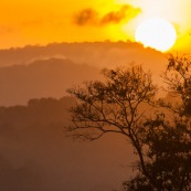 Saul au petit matin (lever du soleil) depuis le belvedere. Brume.  En foret tropicale amazonienne.  Parc amazonien de Guyane. Vue sur la canpee.