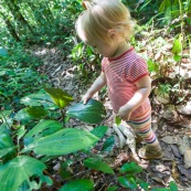 Randonnee a Saul en foret tropicale amazonienne. Parc amazonien de Guyane. Enfant (bebe) en train de decouvrir la nature. Tourisme en famille.