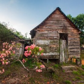 Maison abandonnee a Saul en Guyane. Facade en bois.