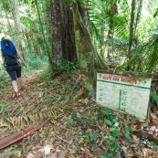 Randonnee a Saul en foret tropicale amazonienne. Parc amazonien de Guyane. Panneau delabre halte aux dechets.