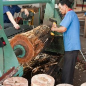 En Chine, trancheuse permettant de realiser des feuilles en partant de troncs en bois. Placage. Usine.