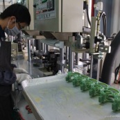 Process de moulage en cire perdue. Moulage acier. Piece de roller systeme de freinage diabolo. Usine a Taiwan (Asie Chine). L'operateur moule les pieces en cire.