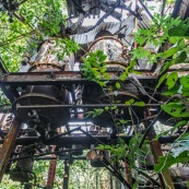 Ancienne rhumerie a Matoury, Guyane francaise.  Les cuves sont en l'air. La vegetation reprend ses doits.