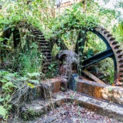 Ancienne rhumerie a Matoury, Guyane francaise.  Engrenages. La vegetation reprend ses doits.