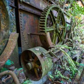 Ancienne rhumerie a Matoury, Guyane francaise.  Engrenages. La vegetation reprend ses doits. La vegetation reprend ses doits.