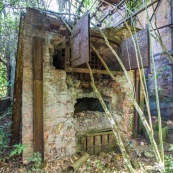 Ancienne rhumerie a Matoury, Guyane francaise.  La vegetation reprend ses doits.  Four.