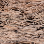 Usine en Chine : decoupe de feuilles de bois pour realiser des planches de skateboard.