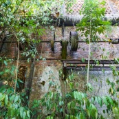 Ancienne rhumerie a Matoury, Guyane francaise.  Batiment en briques. La vegetation reprend ses doits.