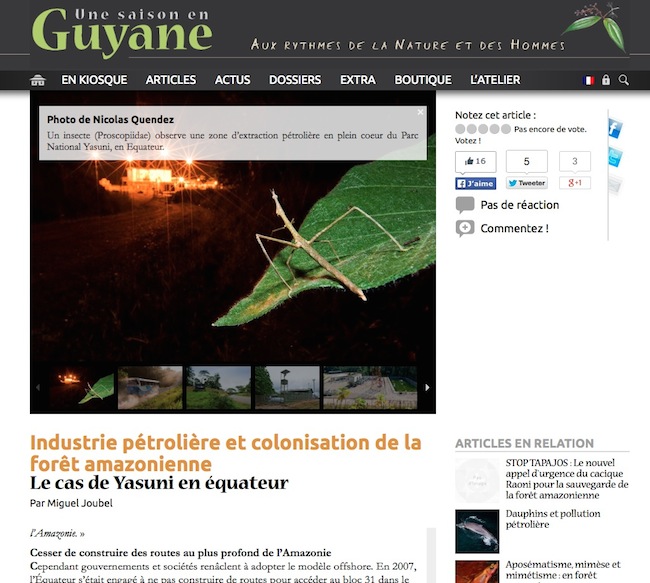 Article Une Saison en Guyane