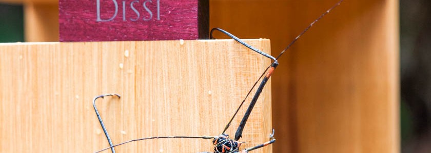 Rapport annuel de l&rsquo;IEDOM